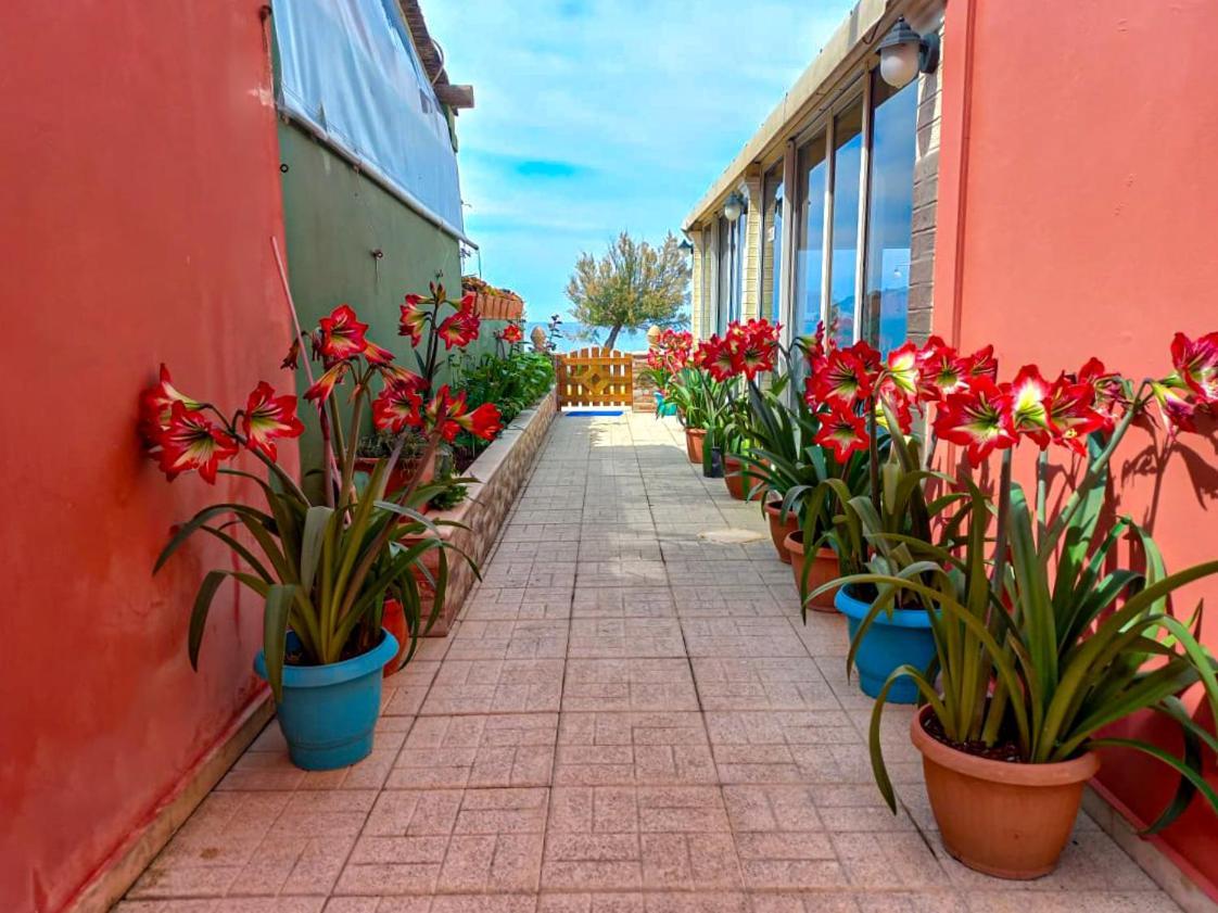 Hotel Porto-Fino à Arillas  Extérieur photo